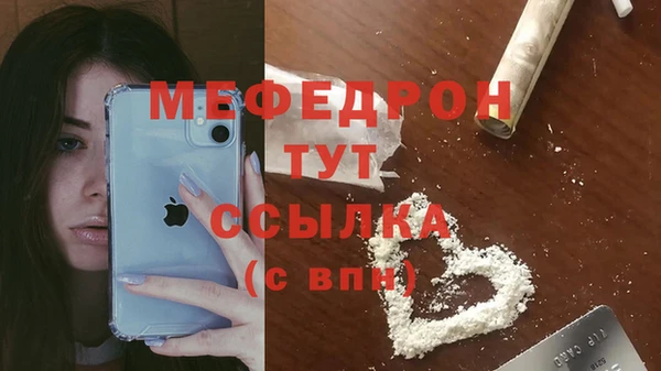 spice Богданович