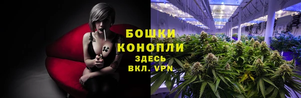 spice Богданович