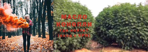 spice Богданович