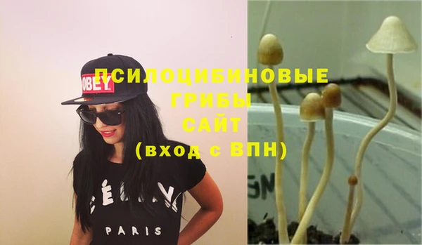 spice Богданович