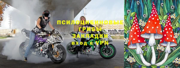 spice Богданович