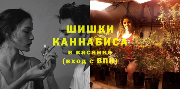 spice Богданович