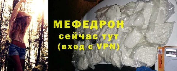spice Богданович